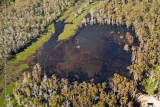 Illustration for article titled The Bayou Corne Sinkhole: A massive oil and gas disaster you’ve probably never heard of